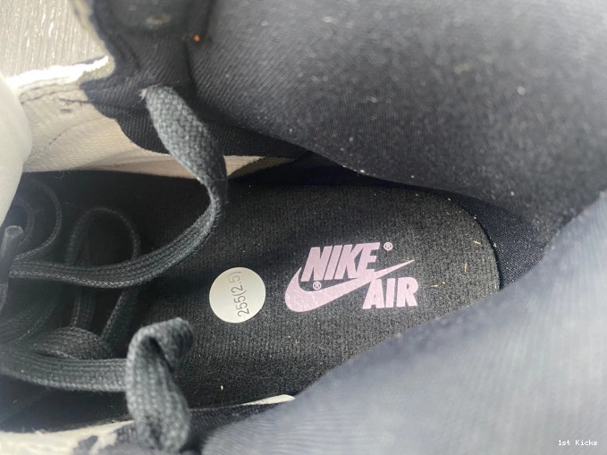 High Skyline 1 DX0054-805 OG Jordan Retro 0606